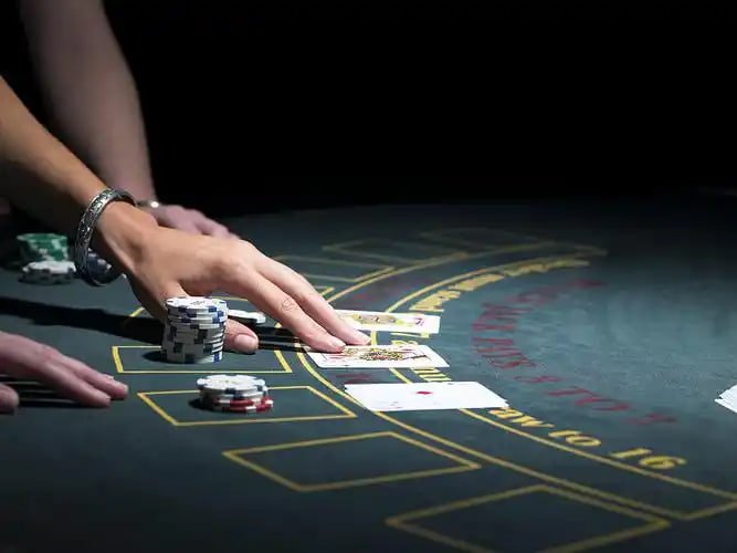 m77casino